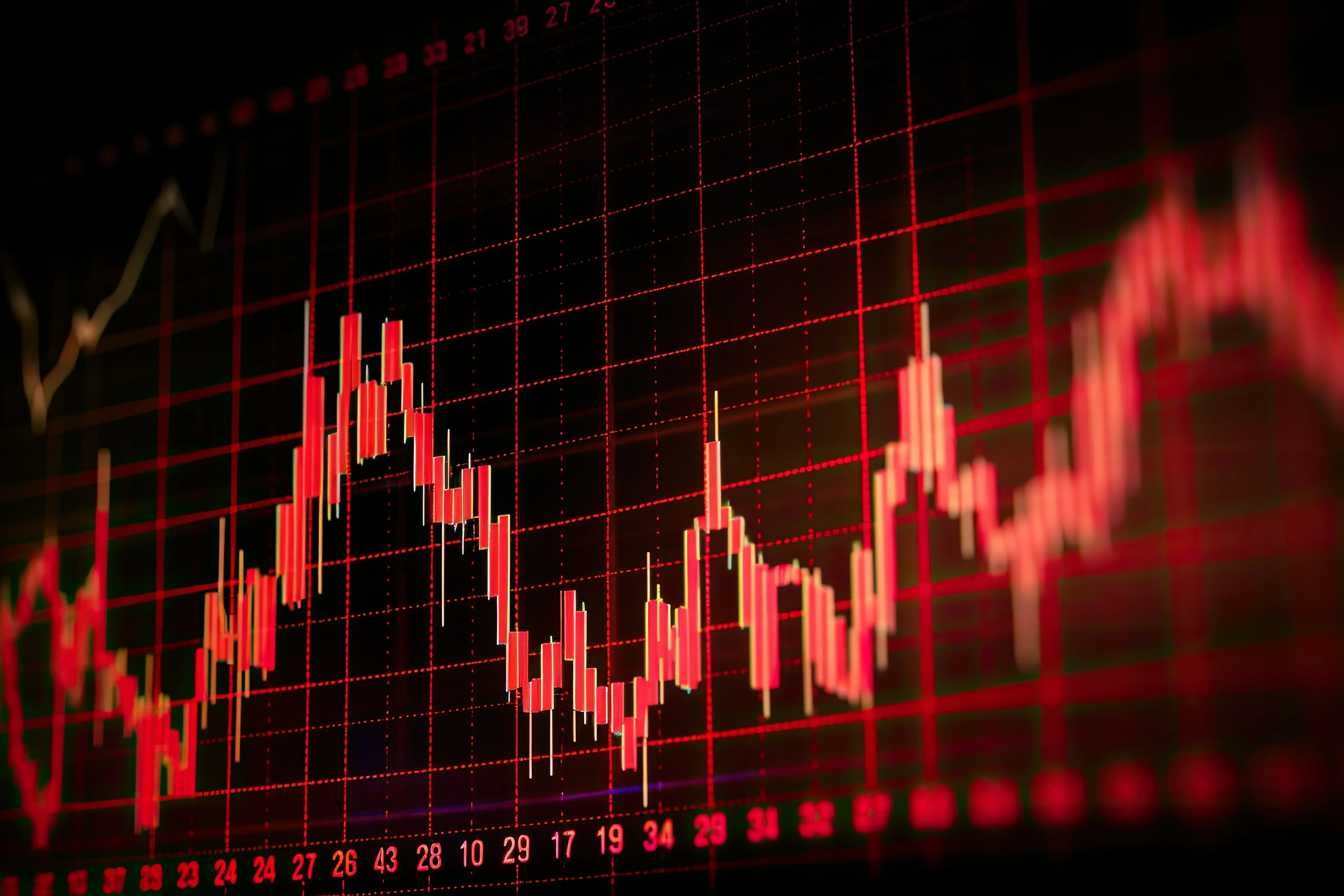 5只北交所股票今日上涨，7只涨停 - 财经视